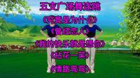 广场舞《究竟是为什么》《曾经恋人》《拈花