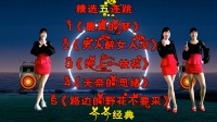 阿真广场舞《最真的梦》《男人醉女人累》《