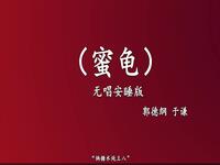 蜜龟