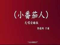 小番茄人