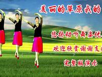 广场舞《美丽的草原我的家》完整版 舞步优