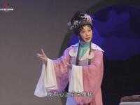 柳琴戏《泪洒相思地》全集下载