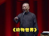 动物世界