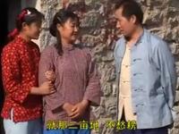 柳琴戏《十八大姐九岁郎》全集下载