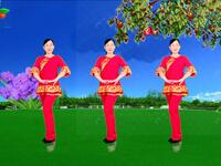 广场舞《枣儿红了》歌醉舞美附教学