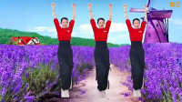广场舞《你在他乡还好吗》