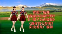 DJ广场舞《我愿今生陪伴你》《一辈子为你等