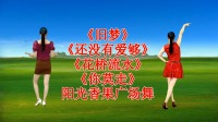 DJ广场舞串烧《旧梦》《还没有爱够》《花桥