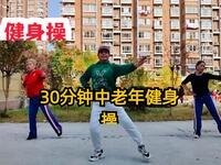 30分钟中老年健身操 瘦胳膊 瘦腿 瘦全身下载