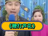 鞭打芦花下载