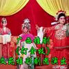 广西桂剧《打金枝》文苑桂彩剧团演出