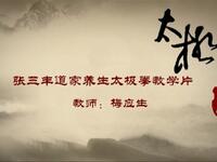 武当张三丰道家养生太极拳一百零八式详细教学（梅应生先生）下载