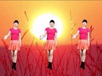 DJ广场舞串烧《我在问花村等你》《天涯歌女