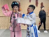 包公赔情下载
