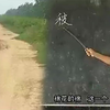 安徽民间小调《二子上学》上集