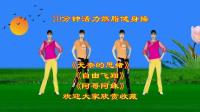中老年有氧健身操《无奈的思绪》《自由飞翔》《阿哥阿妹》下载