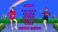 DJ广场舞串烧《三十出头》《闯码头》《野花
