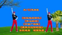 DJ广场舞串烧《粉红色的回忆》《开心的活》