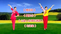 民歌广场舞串烧《棉袄袄》《爱陕北》《山里