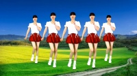 DJ广场舞《涛声依旧》动感健身32步 背面演