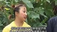 民间小调《单独斗公媳战》上集