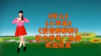 动感DJ广场舞串烧《听心》《小苹果》《爱情