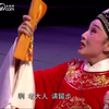 黄梅戏《女驸马》全集下载
