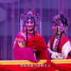 秦腔《金榜题名》全本戏 陕西省戏曲研究院青年团下载