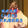 湖北汉剧《二度梅》全本 武汉汉剧院演出