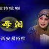 秦腔《慈母泪》全本戏下载