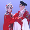 京剧电影《白蛇传》全集下载