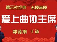 爱上曲协主席