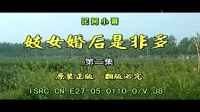 民间小调《妓女婚后是非多》第二集