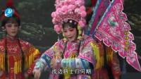 莆仙戏《护储姻缘》全集 婵媛剧团