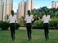 DJ广场舞《不该把爱想的太完美》句句扎心听