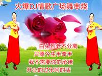 DJ广场舞串烧《我不需要你的承诺》《只愿今