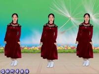 DJ版广场舞《蜓儿点水蝶恋花》情歌对唱