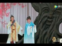 黄梅戏《天仙配》全剧舞台版下载