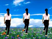 广场舞《蝴蝶爱上花朵》完整版演示