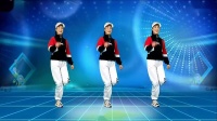 林海广场舞《感情我赌输》
