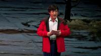 河北梆子《李保国》下集