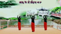 广场舞《女人如书》附动作分解
