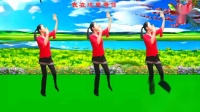 广场舞《相约花儿坡》非常好听好看附教学