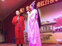 东北二人转《妓女悲秋》《状元图 胡胡腔 打枣》下载
