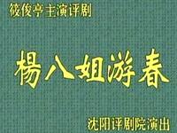 评剧《杨八姐游春》全剧下载