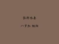 东北二人转《张郎休妻》下载