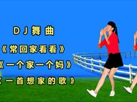DJ广场舞《常回家看看》《一个家一个妈》《