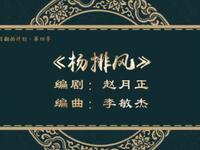 二人转《杨排风》吉林省梨树县民间艺术团演出