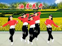 广场舞《油菜花开》背面演示歌好嗨舞好看