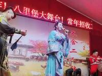 东北二人转《吗啡叹》《马寡妇开店》选段下载